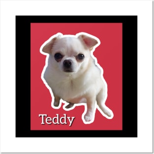 Teddy 3 Posters and Art